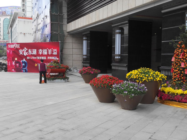 阳台花园秋季养护要点：为小型绿植打造安全越冬环境
